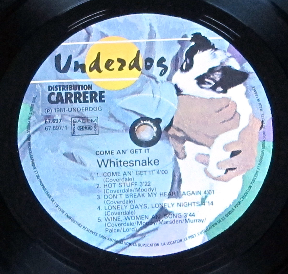 High Resolution Photos of whitesnake 